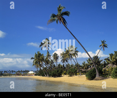 Fidschi, Mamanuca Gruppe von Inseln, Molololai, Plantation Island, Musket Cove Stockfoto