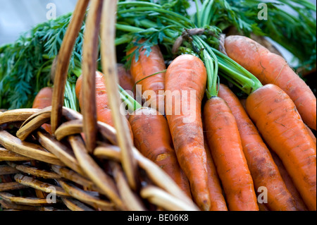 Bio-Karotten im Weidenkorb Stockfoto