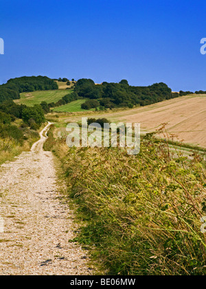 South Downs Way, West Sussex, England Stockfoto