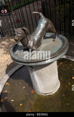 Hund Statue und Tränke für die Tiere im Hyde Park Kensington London GB UK Stockfoto