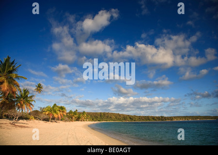 USA, Karibik, Puerto Rico, Vieques Island, Sun Bay Beach Stockfoto