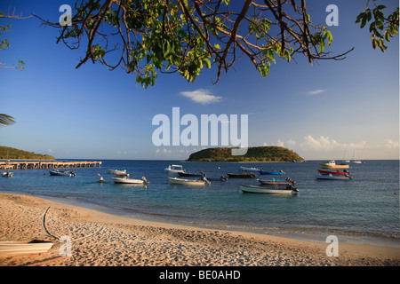 USA, Karibik, Puerto Rico, Vieques Island, Esperanza Bay Stockfoto