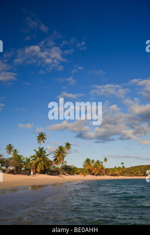 USA, Karibik, Puerto Rico, Vieques Island, Sun Bay Beach Stockfoto