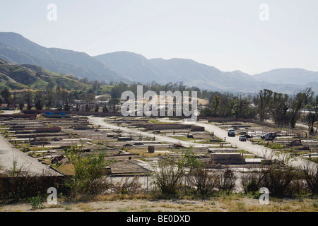 Freiwillige helfen bei Baumpflanzungen Stetson Ranch Park in Sylmar nach den verheerenden Lauffeuer 2008 wieder aufzuforsten. California Stockfoto