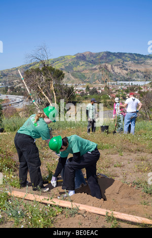 Freiwillige helfen bei Baumpflanzungen Stetson Ranch Park in Sylmar nach den verheerenden Lauffeuer 2008 wieder aufzuforsten. California Stockfoto