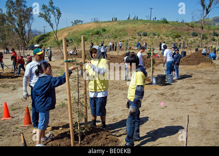 Freiwillige helfen bei Baumpflanzungen Stetson Ranch Park in Sylmar nach den verheerenden Lauffeuer 2008 wieder aufzuforsten. California Stockfoto