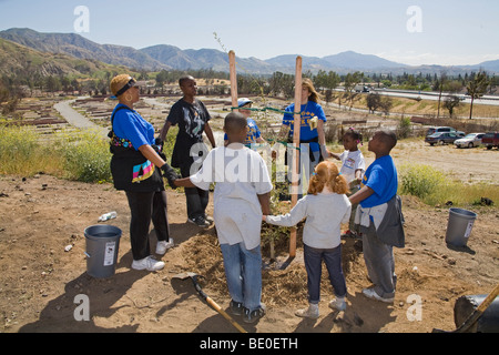 Freiwillige helfen bei Baumpflanzungen Stetson Ranch Park in Sylmar nach den verheerenden Lauffeuer 2008 wieder aufzuforsten. California Stockfoto