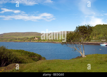 Dunvegan Castle am fernen Ufer von Loch Dunvegan mit einsamer Baum am Ufer in der Nähe von gesehen Stockfoto