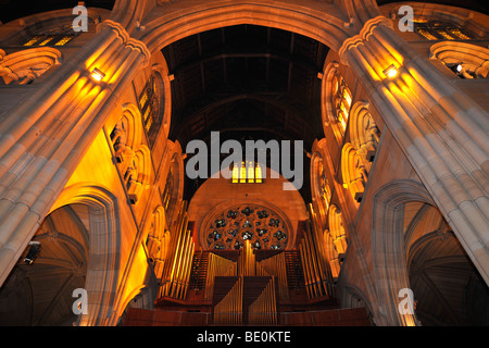 Innenaufnahme des Organs, Eiche Holz Decke, zentralen Glockenturm, Dom St. Marien, Sydney, New South Wales, Australien Stockfoto