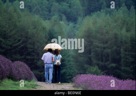 Junger Mann und Frau mit Regenschirm gehen zusammen in Lavendelfeld bei Sakano Sato Farm, Naka Furano, Japan Stockfoto