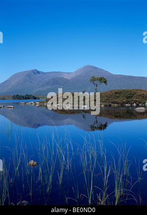 Rannoch moor, Schottland, Ansicht West schwarz montiert man Na H'Achlaise, UK, Großbritannien Stockfoto