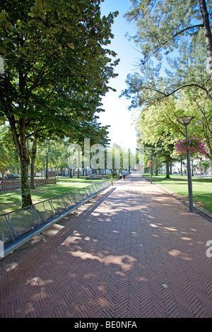 Park in Dona Maria II Platz in Vila Nova de Famalicão, Braga District, Minho, Portugal. Stockfoto