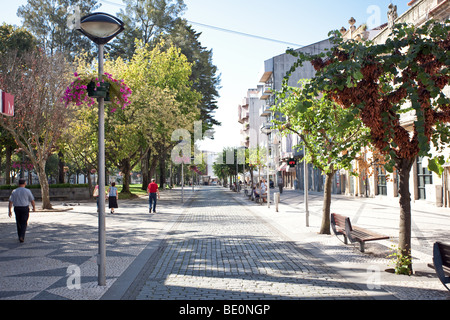 Park in Dona Maria II Platz in Vila Nova de Famalicão, Braga District, Minho, Portugal. Stockfoto