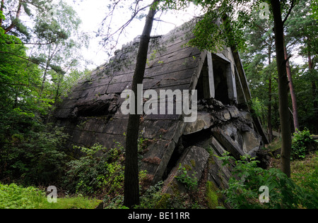 Maybach Komplex, zerstört Zweiter Weltkrieg Bunker des Oberkommandos der Wehrmacht in Wuensdorf Stockfoto