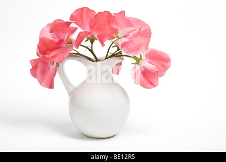 Rosenstrauss rosa Wicken in weiß Krug angeordnet Stockfoto