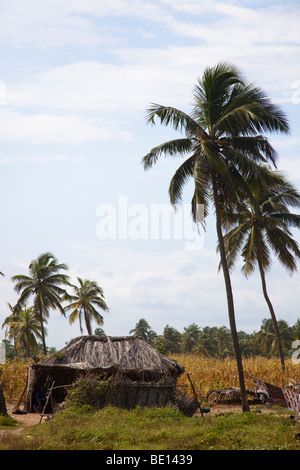 Fischerdörfer vermischt mit hohen Palmen Bäume Linie Strand zwischen Benins Hauptstadt des Cotonou-Abkommens und die Stadt von Ouidah. Stockfoto
