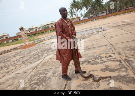 Ein Mann trägt eine königliche Python in Ouidah, Benin.  In dieser historischen Stadt sind Pythons als heilige Tiere angesehen. Stockfoto