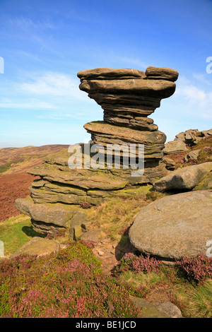 Salz-Rock Formation auf Derwent Rand im oberen Derwent Valley, Derbyshire, Peak District National Park, England, UK. Stockfoto