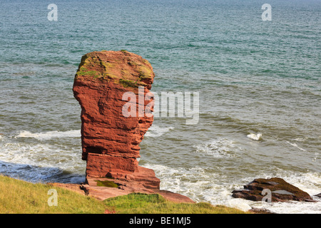 Deil's Heid Seestapel, Arbroath, Angus. Stockfoto