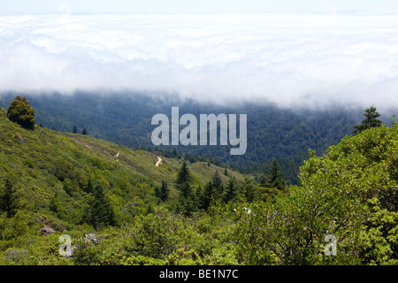 Bodennebel Rollen auf San Francisco und Umgebung von hoch oben am Mount Tamalpais gesehen Stockfoto