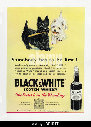 1951-Werbung für schwarz-weiß & blended Scotch whisky Stockfoto