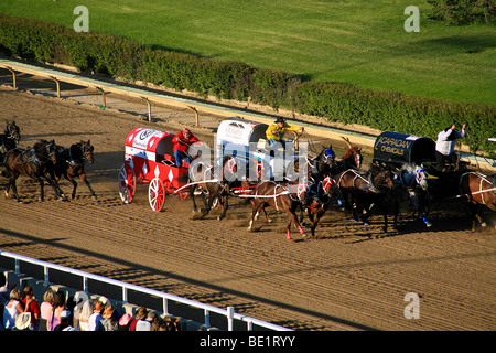 Calgary Stampede in Calgary; Alberta; Westkanada; Kanada; Nord-Amerika Stockfoto