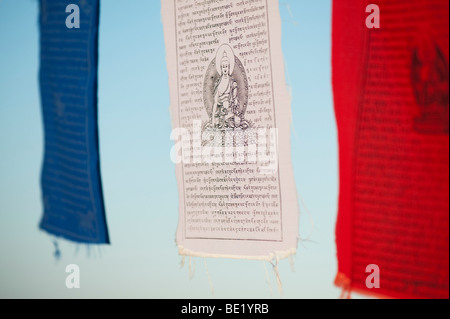 Buddhistische Gebetsfahnen gegen den blauen Himmel. Indien Stockfoto