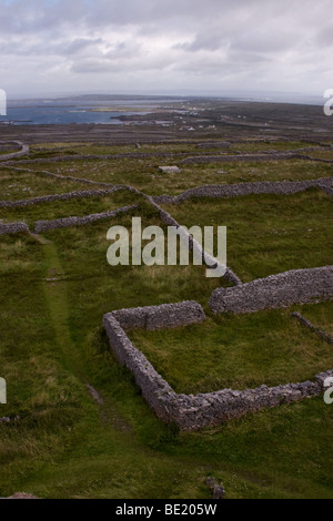Blick über Felder und Steinmauern von Inis Mor Insel, Aran-Inseln, Co. Galway, Irland. Foto stammt von Dun Arann Leuchtturm Stockfoto