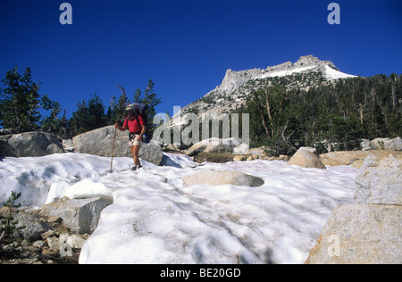 Mann, Rucksackreisen auf John Muir Trail in der Nähe von Kathedrale Pass, Yosemite-Nationalpark Stockfoto