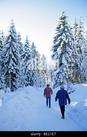 ein Spaziergang durch den verschneiten Bäumen im Harz in Norddeutschland Stockfoto