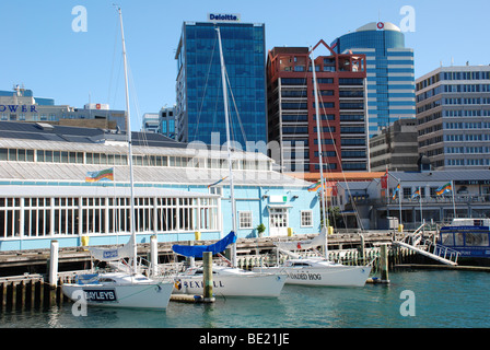 Wellington Hafen an einem sonnigen Nachmittag mit der CBD im Hintergrund und einige Rennyachten im Vordergrund Stockfoto