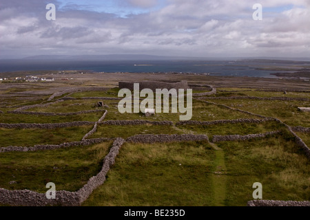 Dun Eochla Ringfort am Höhepunkt von Inis Mor Insel, Aran-Inseln, Co. Galway, Irland. Foto stammt von Dun Arann Leuchtturm Stockfoto