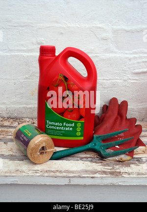 Bunte Garten Objekte - Garn, Gabel, Handschuhe und Tomate pflanzliche Nahrung sitzen auf einem Regal in einem Gartenhaus. Stockfoto