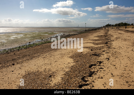 Eine Linie von Algen bei Hochwassermarke am Oststrand in Shoeburyness in Essex.  Foto von Gordon Scammell Stockfoto