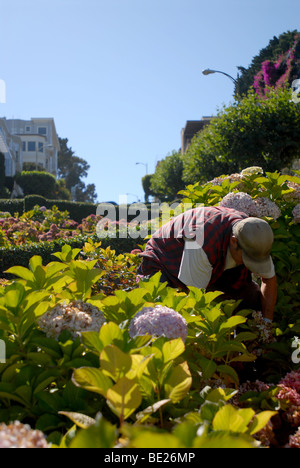 Gärtner, Lombard Street Stockfoto
