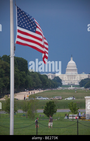 Flaggen auf Halbmast in der Nähe von Washington Monument, mit dem US Capitol im Hintergrund, Washington DC, USA Stockfoto