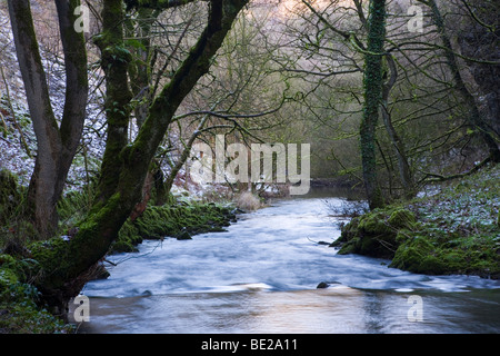 Der Fluss Wye durchströmenden Chee Dale im Wye Valley in der Nähe von Buxton in Derbyshire Stockfoto