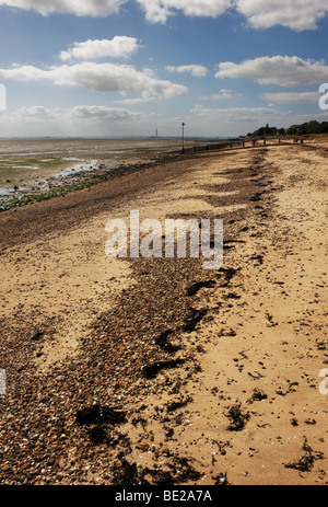 Eine Linie von Algen bei Hochwassermarke am Oststrand am Shoburyness in Essex.  Foto von Gordon Scammell Stockfoto