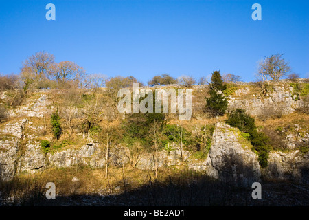 Ansicht der Kalksteinfelsen oberhalb Chee Dale im Wye Valley in der Nähe von Buxton im Peak District in Derbyshire Stockfoto