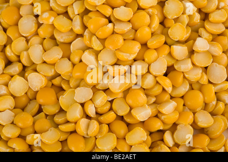 Nahaufnahme von gelben Linsen Stockfoto
