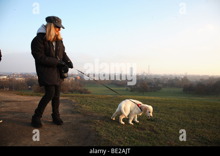 Eine Frau geht ihren Hund auf Primrose Hill. Stockfoto