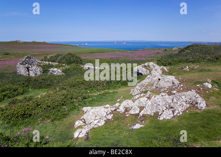 Skomer; Naturschutzgebiet Insel; Blick über das Tal des Baches nördlich in Richtung der walisischen Küste mit roten Campion in Blüte Stockfoto