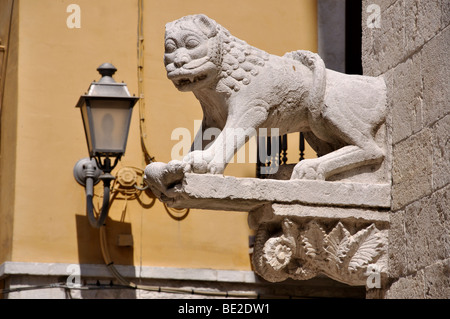 Wasserspeier, Cattedrale di Santa Maggiore, Barletta, Provinz Barletta-Andria-Trani, Apulien Region, Italien Stockfoto