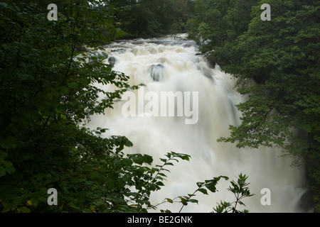 Swallow Falls ist ein Wasserfall System in der Nähe von Betws-y-Coed in Conwy, Wales Stockfoto