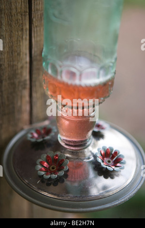 Nahaufnahme von Hummingbird Feeder mit Zucker Nektar Stockfoto