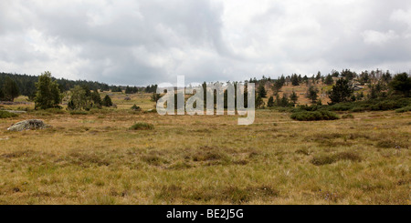 Ausflug in den Nationalpark der Cevennen ' 09 Stockfoto