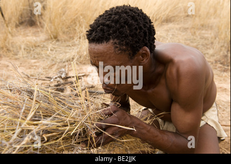 Naro Buschmänner (San) Mann, der ein Feuer, Central Kalahari, Botswana Stockfoto