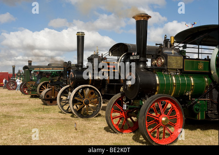 Eine Reihe von dampfbetriebene Zugmaschinen auf Anzeige an der Essex County. Foto von Gordon Scammell Stockfoto