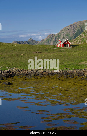 Norwegisches Haus in der Nähe von Nyksund, Langoeya Insel, Vesteralen, Norwegen, Skandinavien, Europa Stockfoto