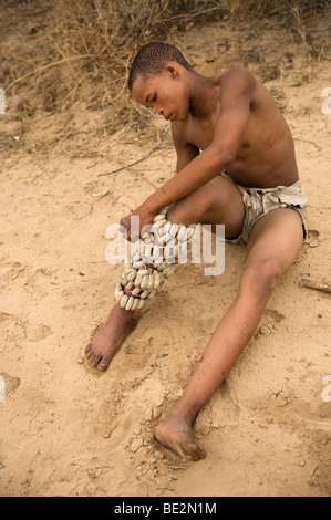 Naro Buschmänner (San) binden Rassel Hülsen um seine Beine zum Tanzen, Central Kalahari, Botswana Stockfoto